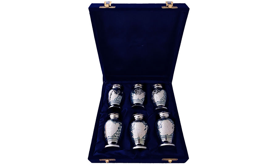076-B- 6 Mini Silverw/Blue