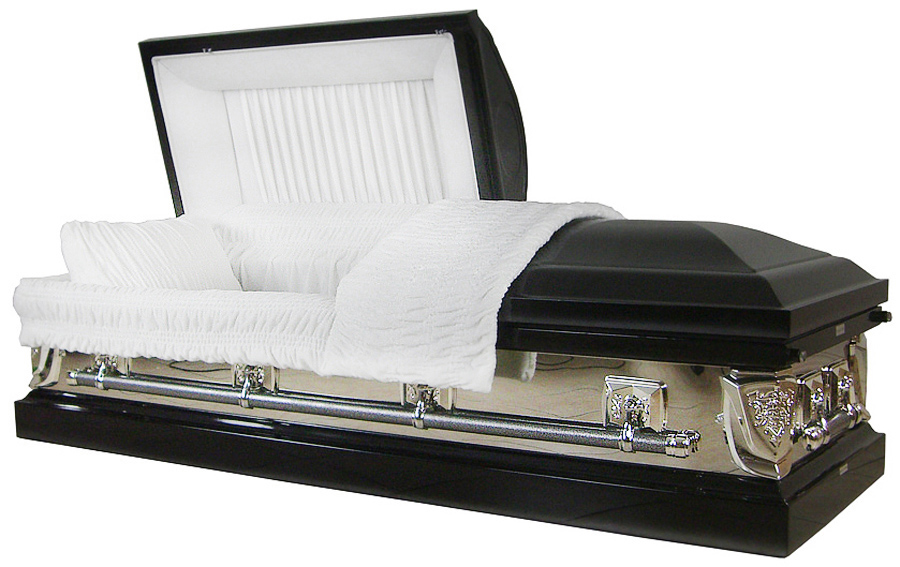 8035 - Silver Ebony 18ga Silver Highlight, Mirrored Sides, White Velvet