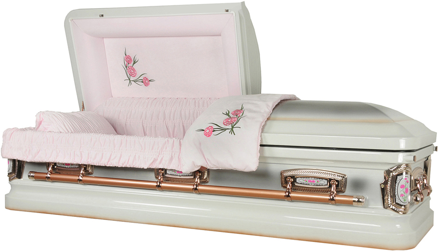 8952ss - Stainless Steel CasketCarnation Casket, Natural Brushed Top